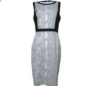 Calvin Klein Snake Print Contrast Sheath Dress 4P